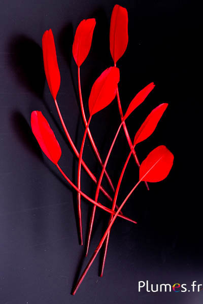 Panicule Cygne Soie - 25-30 cm - rouge